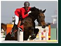 FINÁLE EQUITO CUP juniori 2009