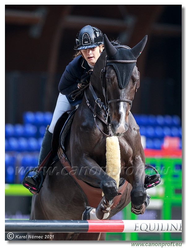 �amor�n - CSI2* Competition in 2 phases - 1.40/1.45