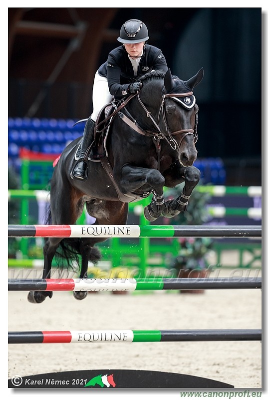 �amor�n - CSI2* Competition in 2 phases - 1.40/1.45