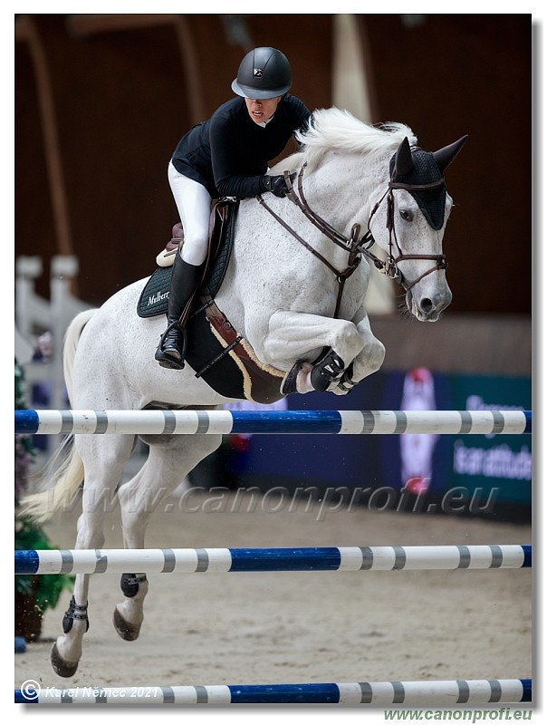 �amor�n - CSI2* Competition in 2 phases - 1.40/1.45