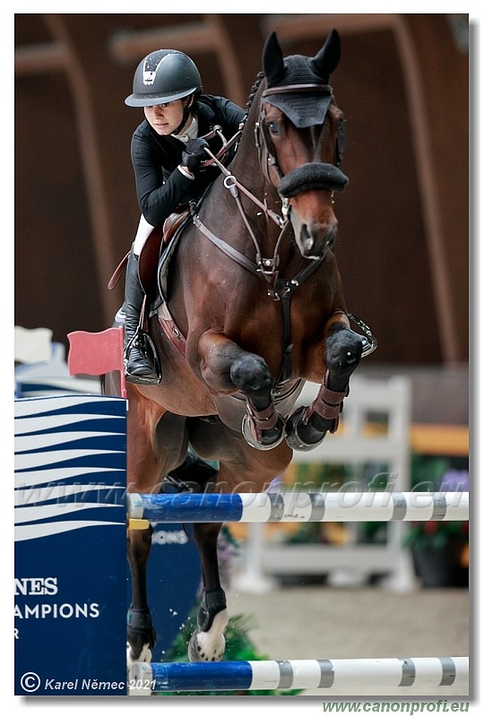�amor�n - CSI2* Competition in 2 phases - 1.40/1.45