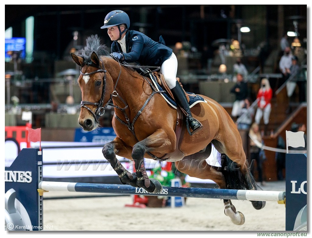 �amor�n - CSI5* Competition in 2 phases - 1.45m