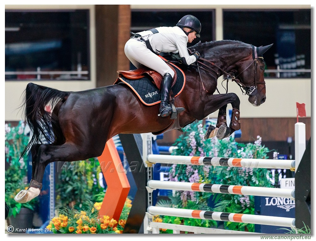 �amor�n - CSI5* Competition in 2 phases - 1.45m
