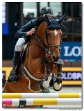 LEOPOLD VAN ASTEN, NED - VDL GROEP ELEGANT HERO Z 