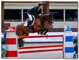 SCOTT BRASH, GBR - HELLO JEFFERSON 