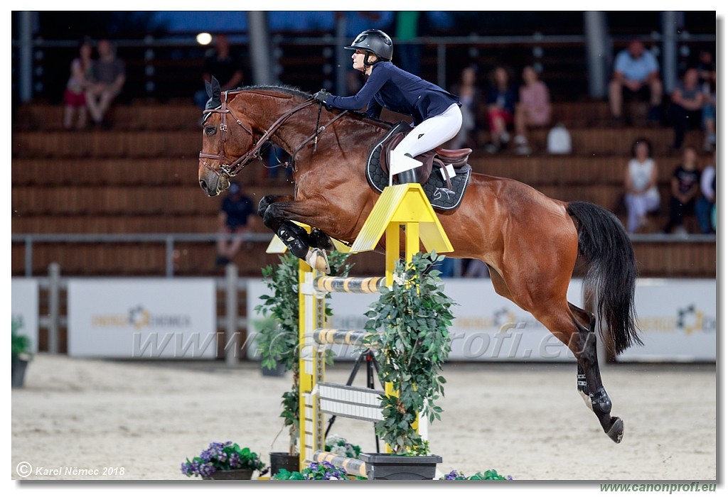 �amor�n - CSI2* Grand Prix - 145 cm