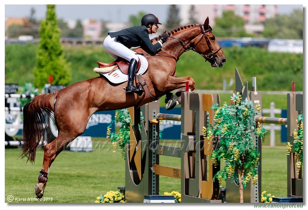 �amor�n - Longines FEI Nations Cup� - 160 cm