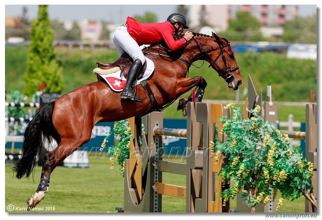 �amor�n - Longines FEI Nations Cup� - 160 cm