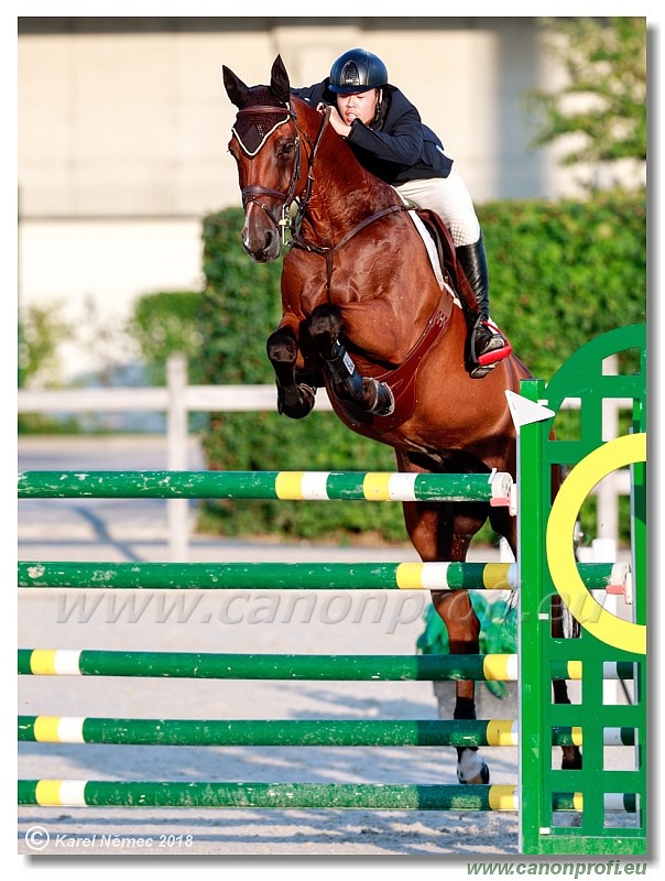 �amor�n - Summer Tour - 150 cm