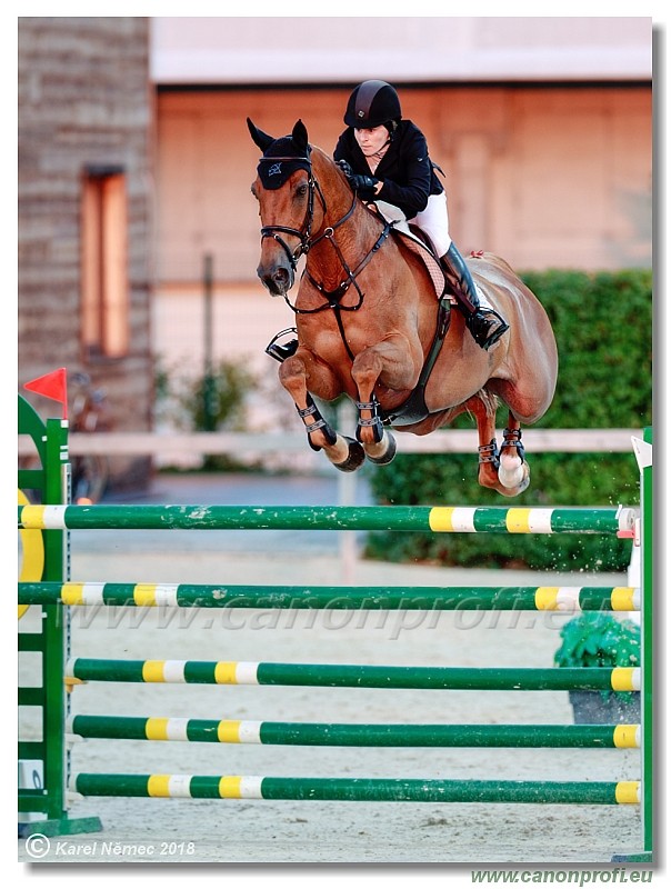 �amor�n - Summer Tour - 150 cm