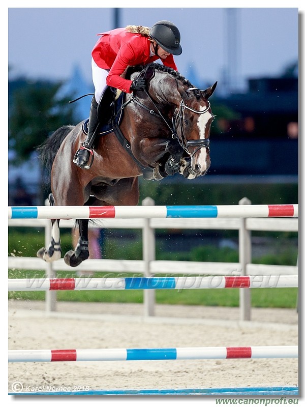 �amor�n - Summer Tour - 150 cm