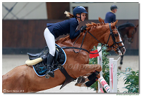 �amor�n - Winter Masters II - 120 cm