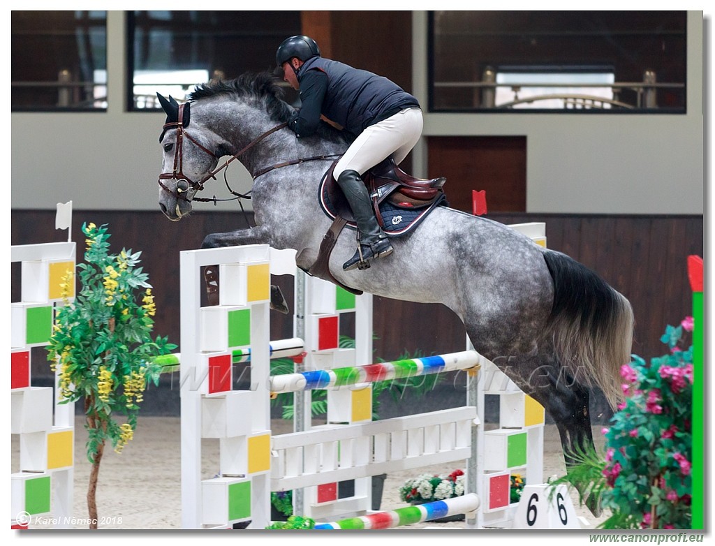 �amor�n - Winter Masters II - 120 cm