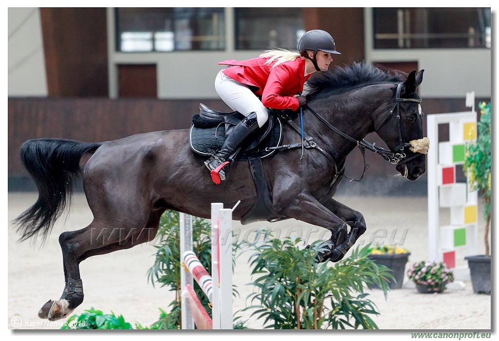 �amor�n - Winter Masters II - 120 cm