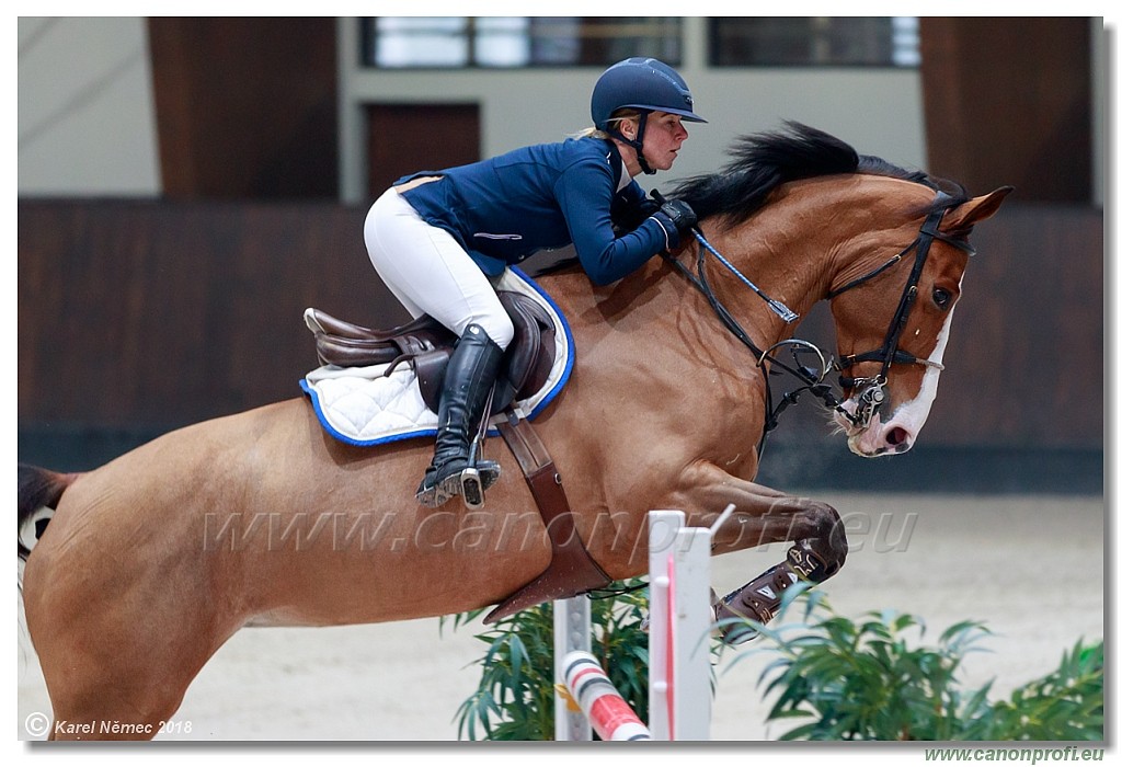 �amor�n - Winter Masters II - 120 cm