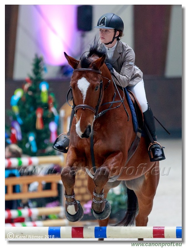 �amor�n - Winter Masters II - 120 cm