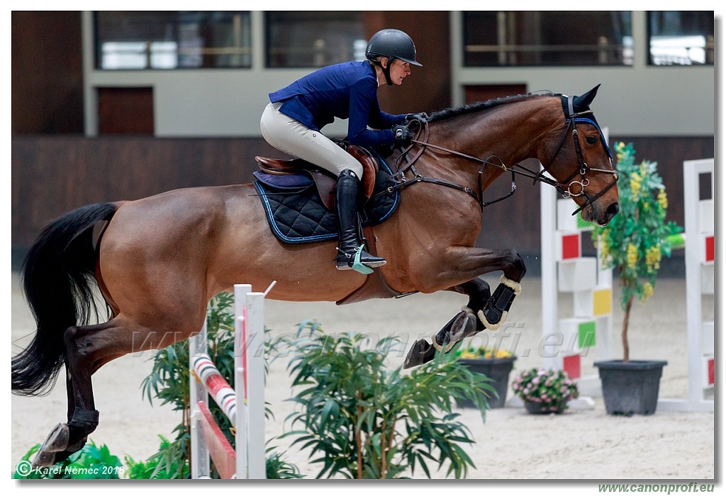 �amor�n - Winter Masters II - 120 cm