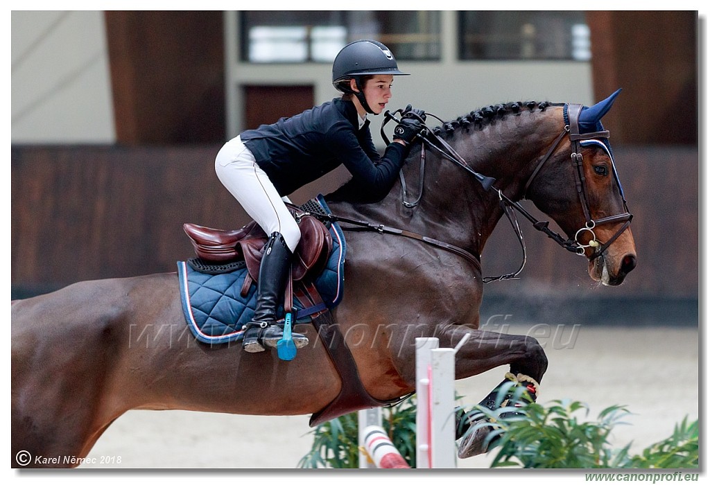 �amor�n - Winter Masters II - 120 cm