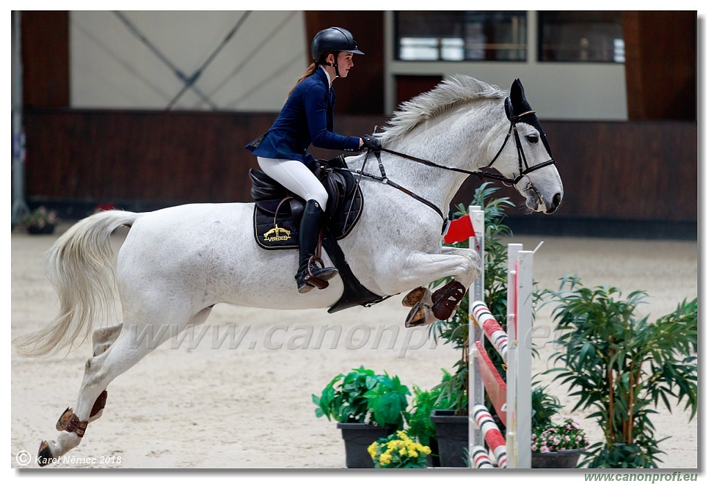 �amor�n - Winter Masters II - 120 cm