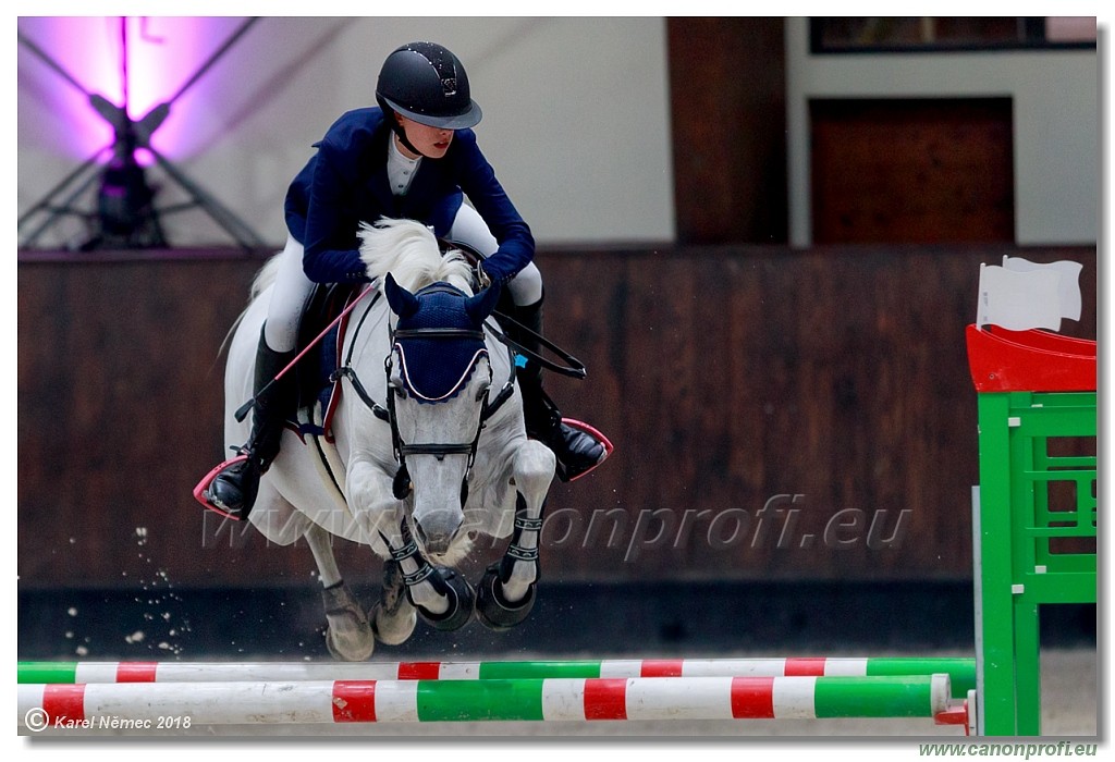 �amor�n - Winter Masters II - 120 cm