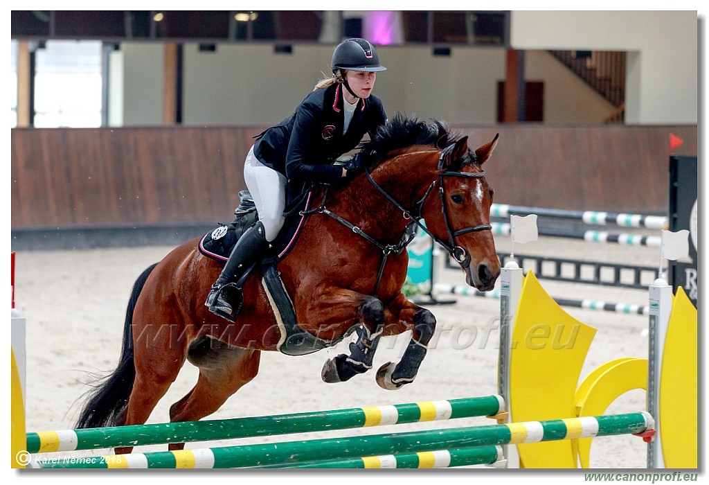 �amor�n - Winter Masters II - 120 cm