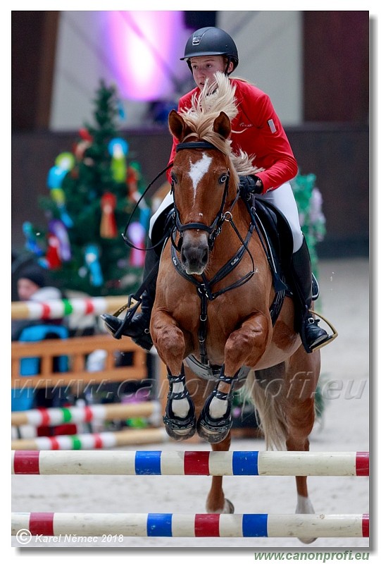 �amor�n - Winter Masters II - 120 cm