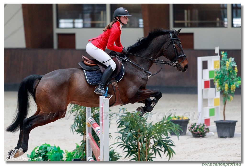 �amor�n - Winter Masters II - 120 cm