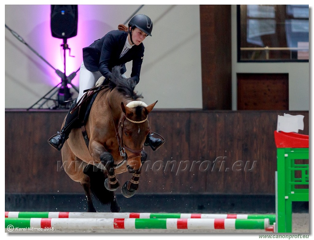 �amor�n - Winter Masters II - 120 cm