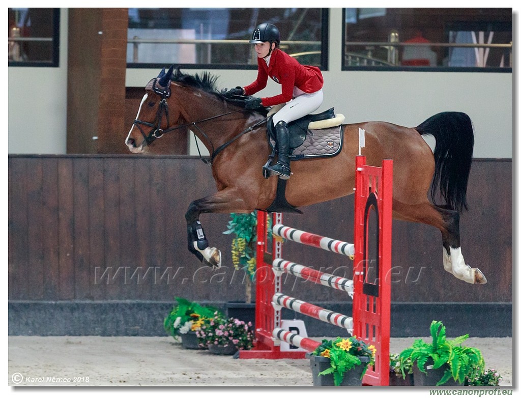 �amor�n - Winter Masters II - 120 cm