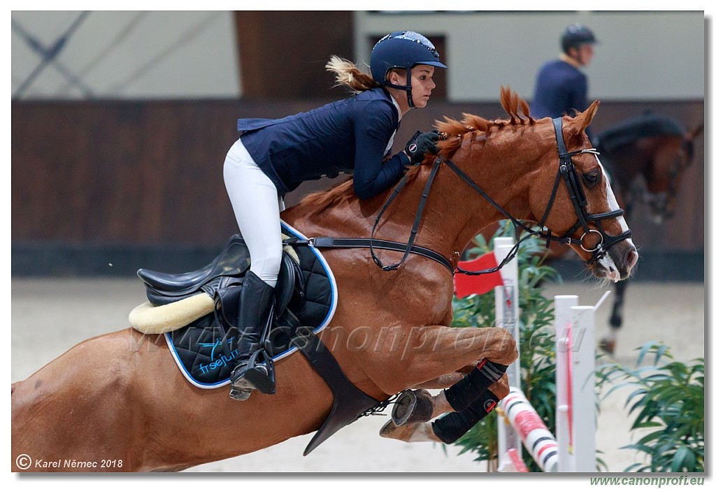 �amor�n - Winter Masters II - 120 cm