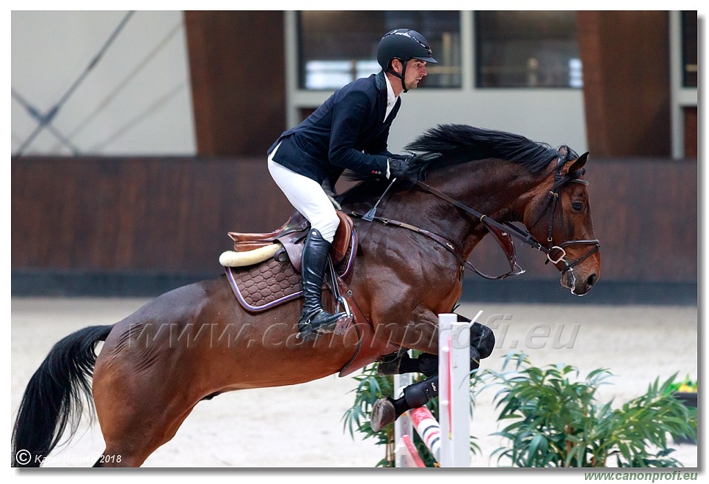 �amor�n - Winter Masters II - 120 cm