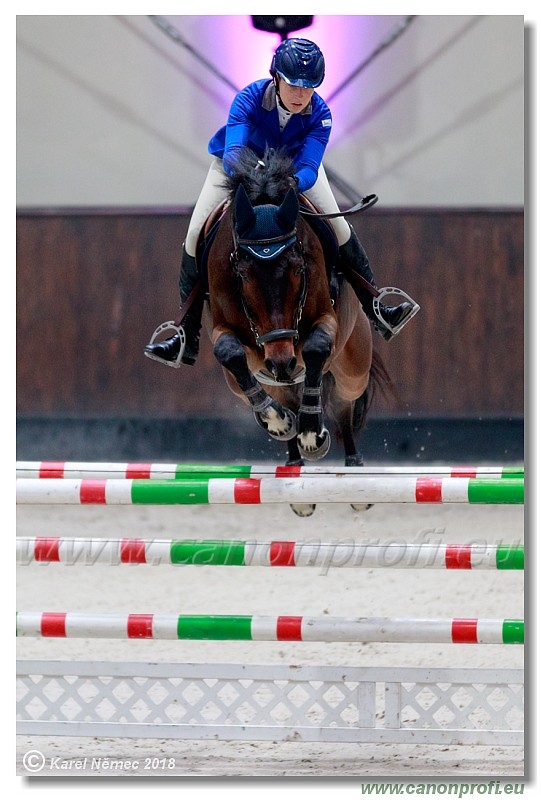 �amor�n - Winter Masters II - 120 cm