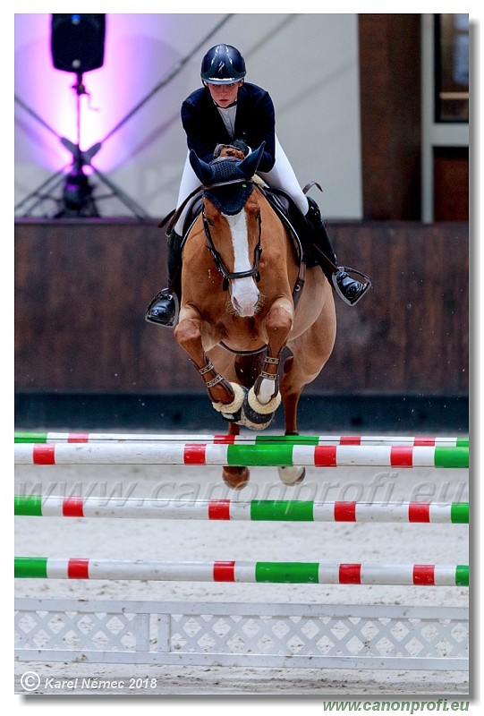 �amor�n - Winter Masters II - 120 cm