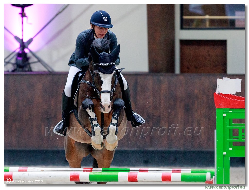 �amor�n - Winter Masters II - 120 cm