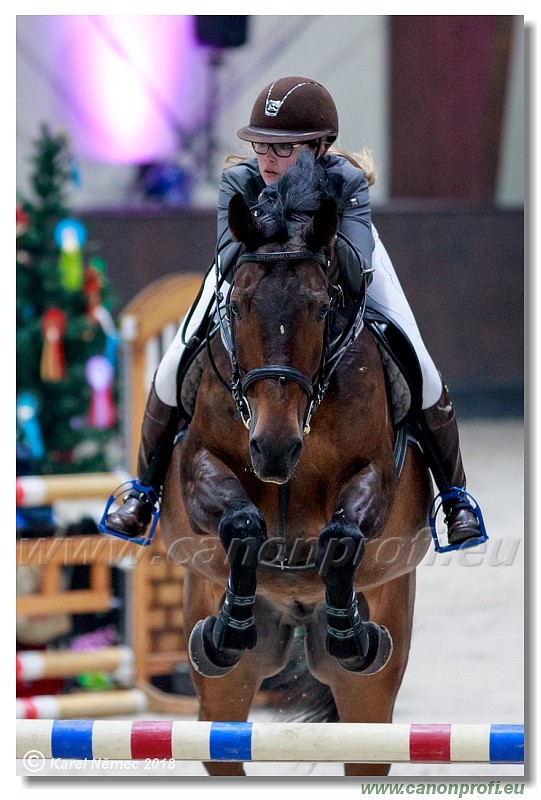 �amor�n - Winter Masters II - 120 cm