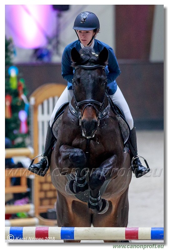 �amor�n - Winter Masters II - 120 cm