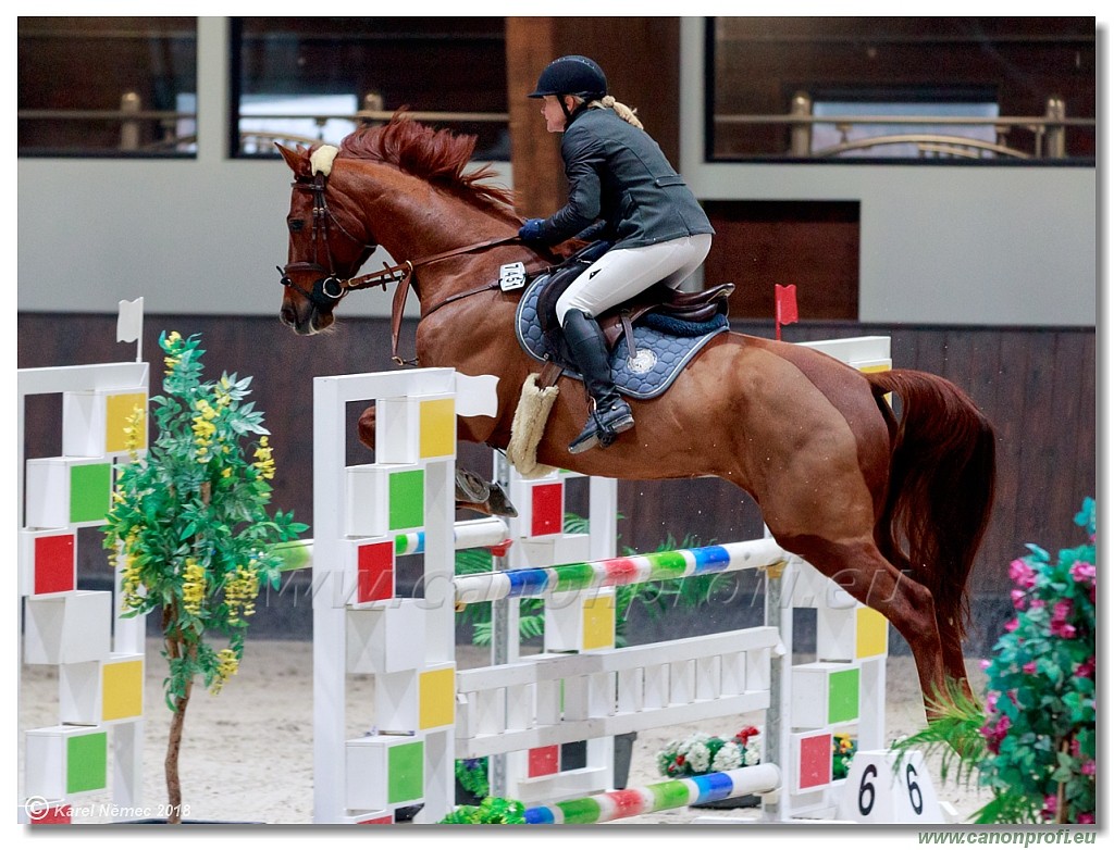 �amor�n - Winter Masters II - 120 cm