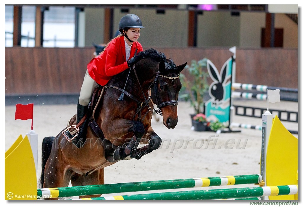 �amor�n - Winter Masters II - 120 cm