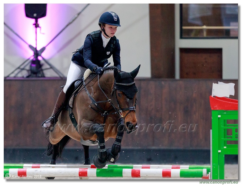 �amor�n - Winter Masters II - 120 cm