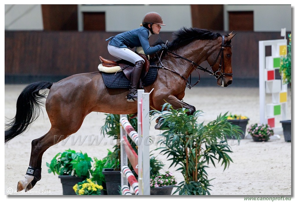 �amor�n - Winter Masters II - 120 cm