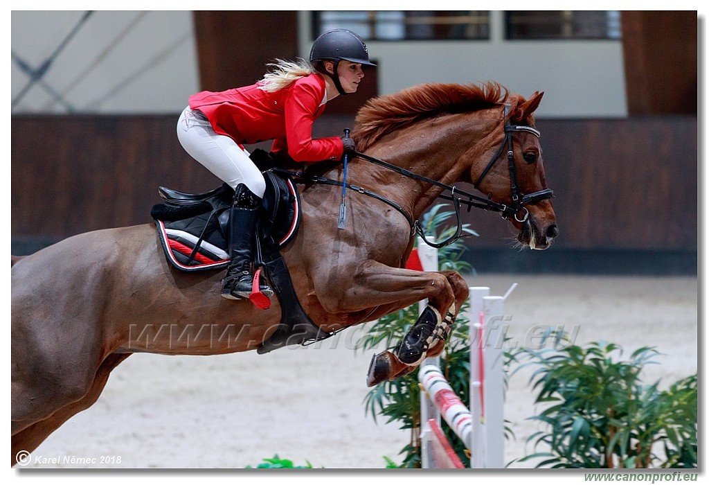 �amor�n - Winter Masters II - 120 cm