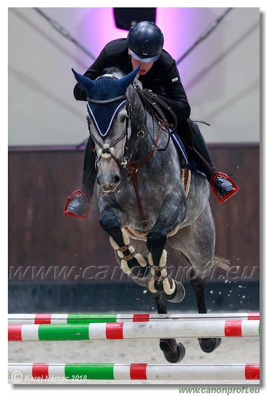 �amor�n - Winter Masters II - 120 cm