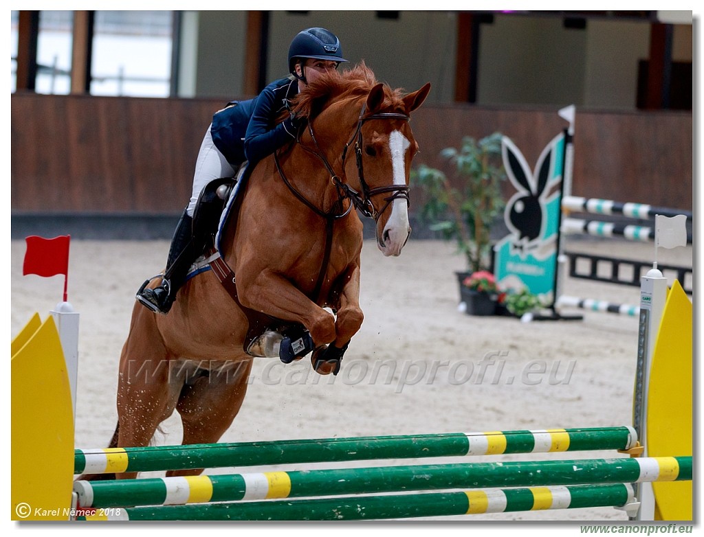 �amor�n - Winter Masters II - 120 cm