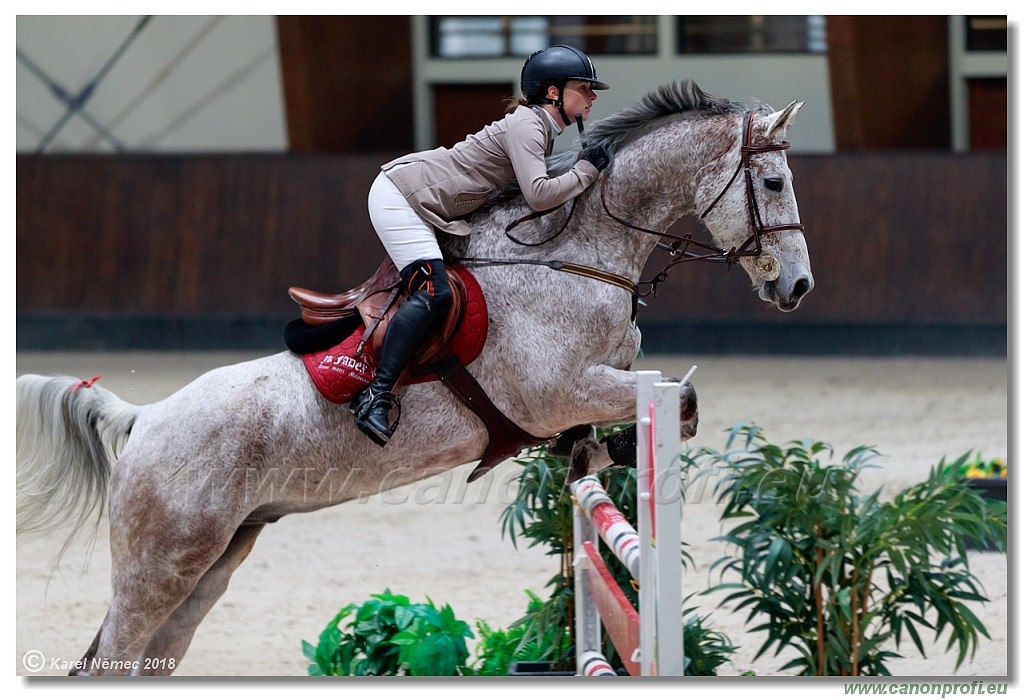 �amor�n - Winter Masters II - 120 cm