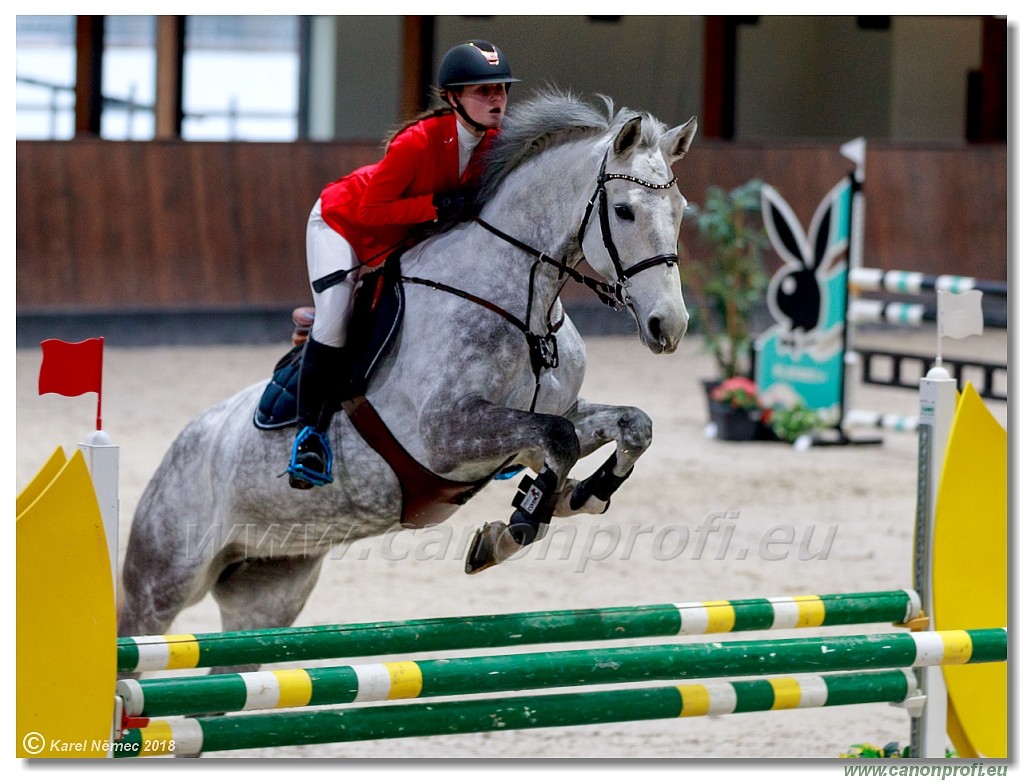 �amor�n - Winter Masters II - 120 cm