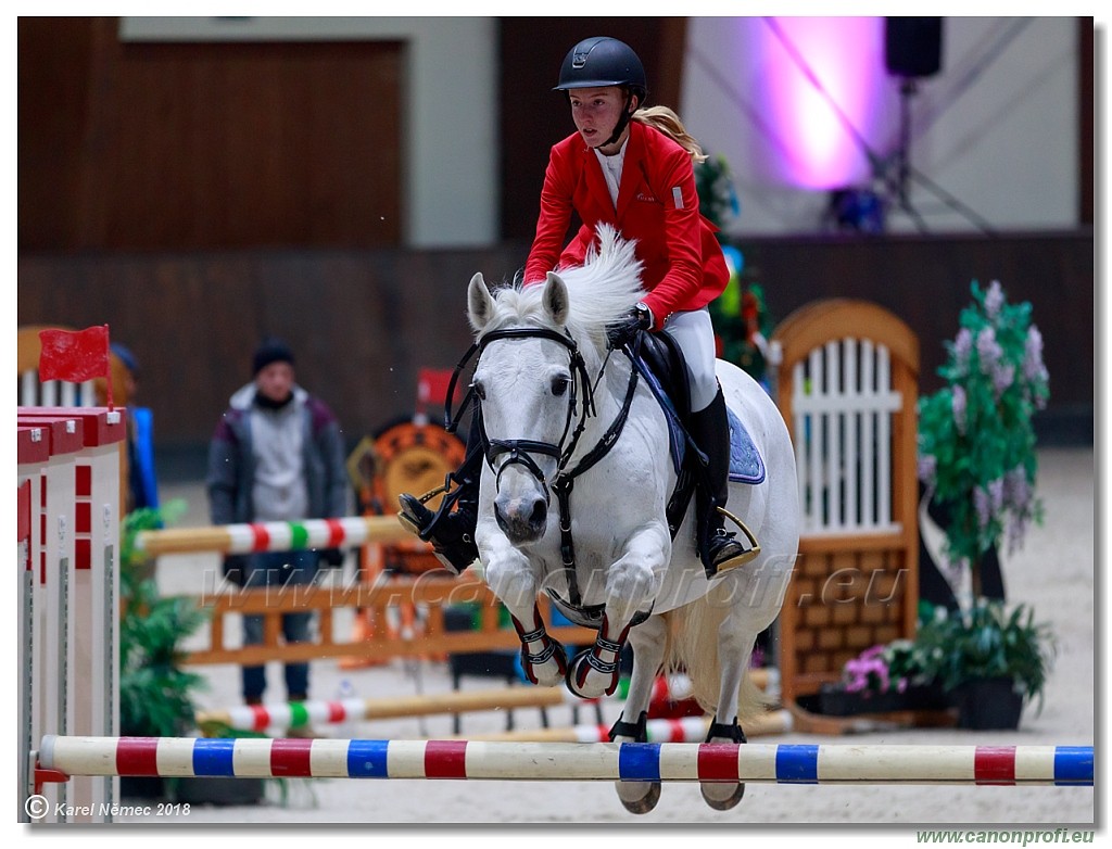 �amor�n - Winter Masters II - 120 cm