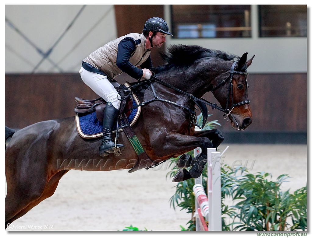 �amor�n - Winter Masters II - 120 cm