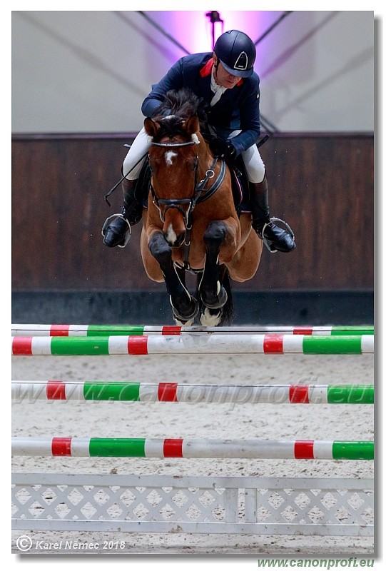 �amor�n - Winter Masters II - 120 cm