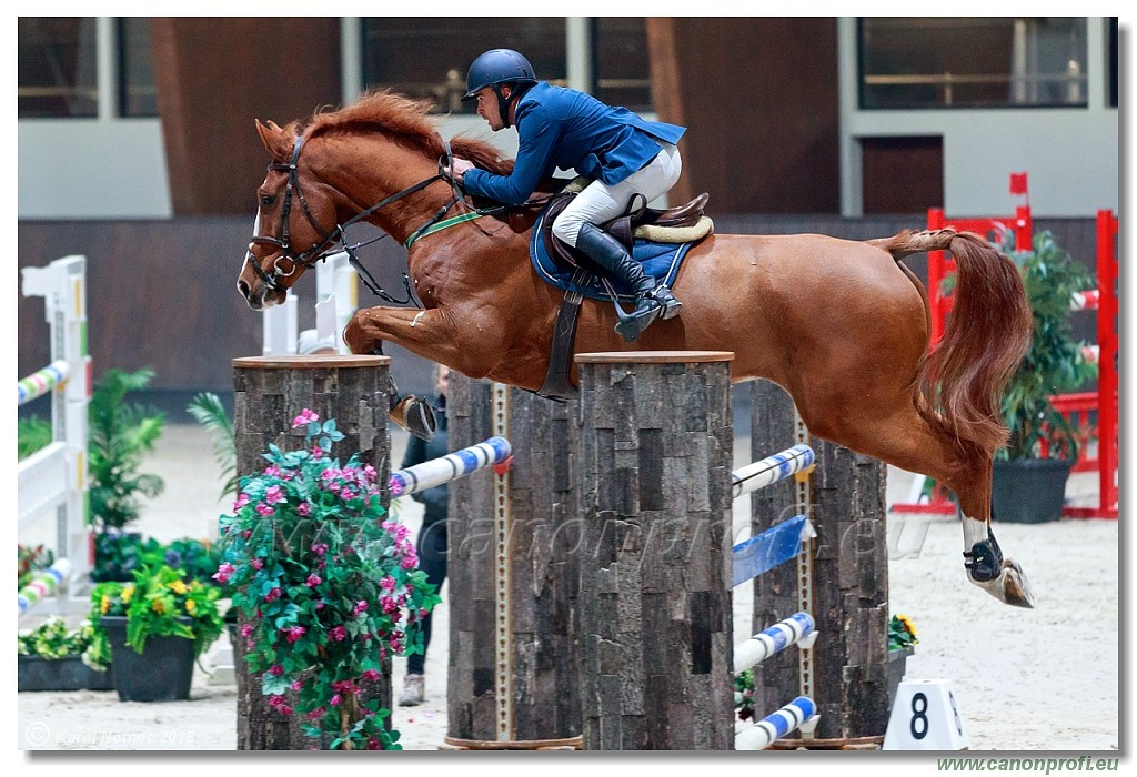 �amor�n - Winter Masters II - 140 cm