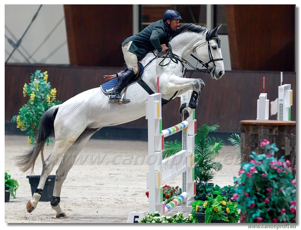 �amor�n - Winter Masters II - 140 cm